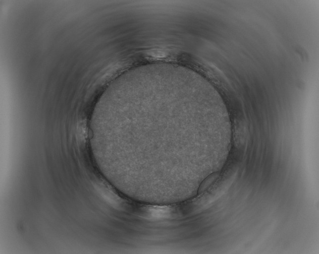 X0000113110085200909251101