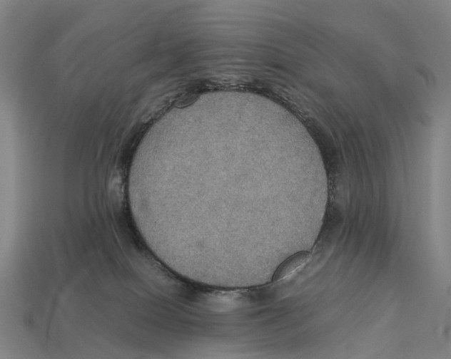 X0000113110086200909251101
