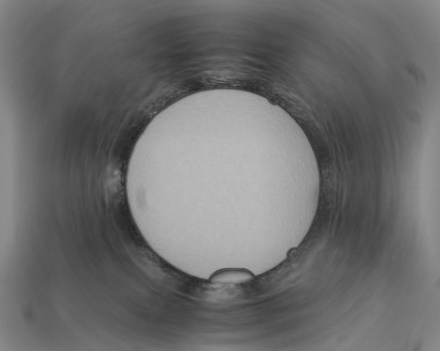 X0000113110087200909251101