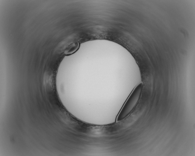 X0000113110088200909251101