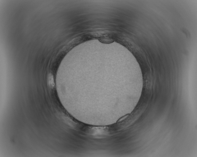 X0000113110089200909251101