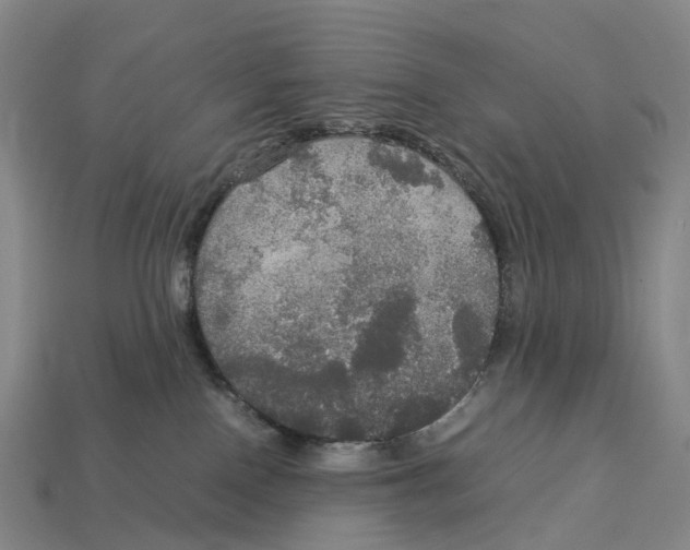 X0000113110090200909251101