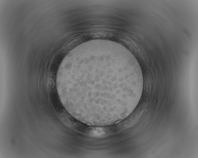 X0000113110091200909251101