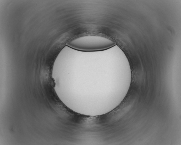 X0000113110092200909251101