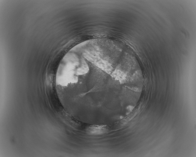 X0000113110093200909251101