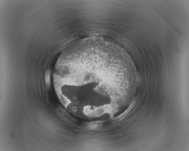 X0000113110094200909251101