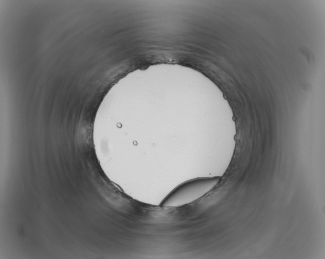 X0000113110096200909251101