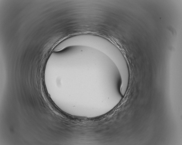 X0000113110097200909251100
