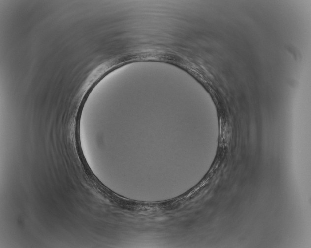 X0000113110099200909251100