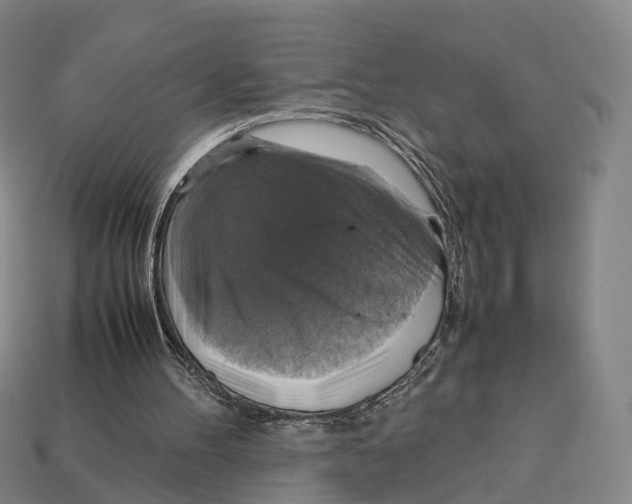 X0000113110100200909251100