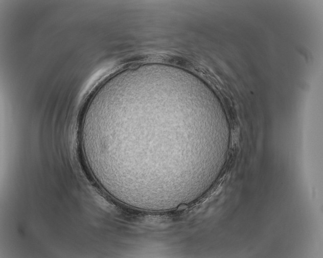 X0000113110101200909251100