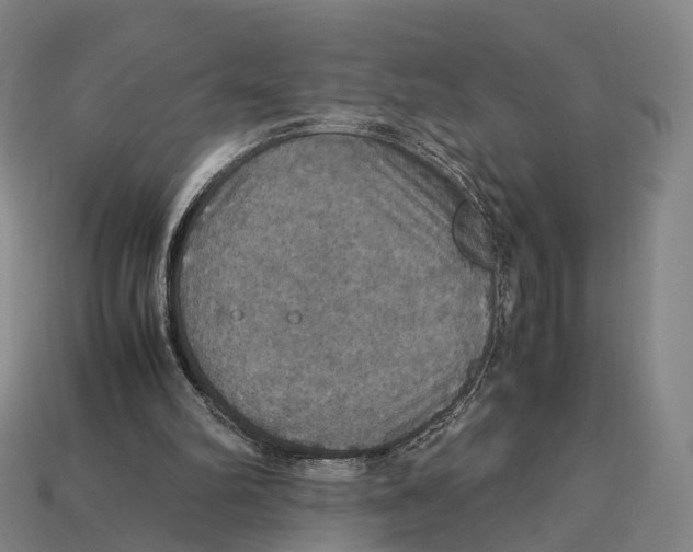 X0000113110102200909251100