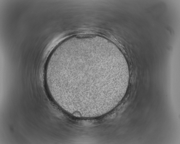 X0000113110103200909251100