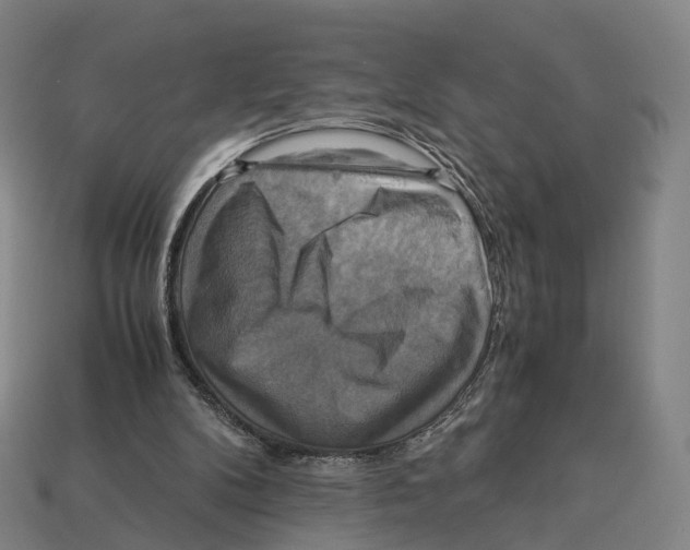 X0000113110104200909251100
