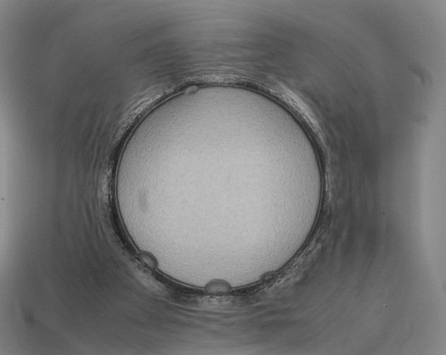 X0000113110105200909251100