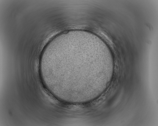 X0000113110107200909251100