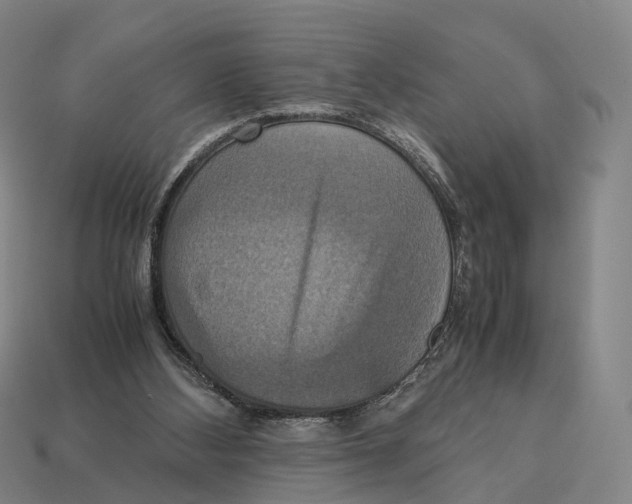 X0000113110108200909251100