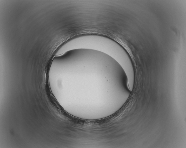 X0000113110109200909251100