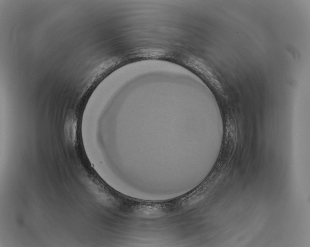 X0000113110110200909251100