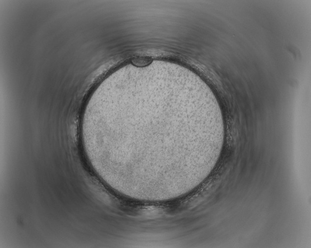 X0000113110111200909251100