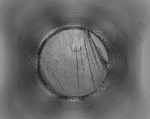 X0000113110112200909251100