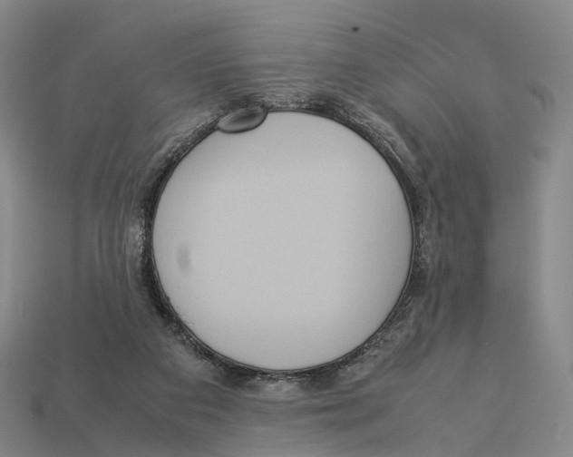 X0000113110113200909251100