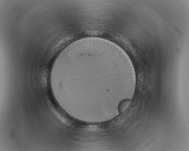 X0000113110114200909251100