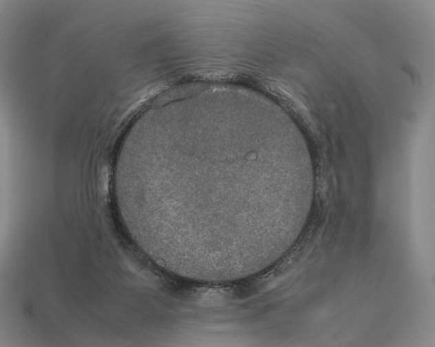 X0000113110115200909251100