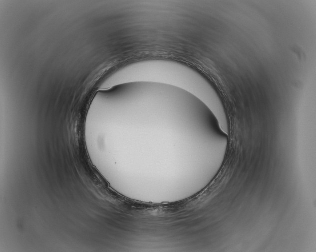 X0000113110116200909251100