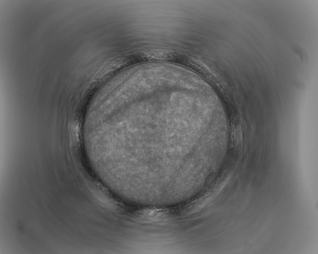 X0000113110117200909251100
