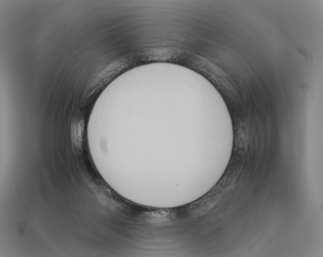 X0000113110118200909251100