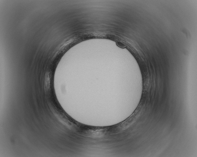 X0000113110120200909251100