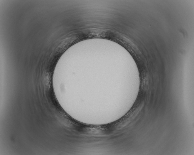 X0000113110121200909251100
