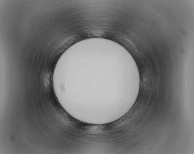 X0000113110122200909251100