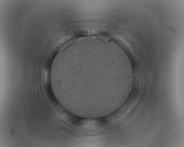 X0000113110123200909251100