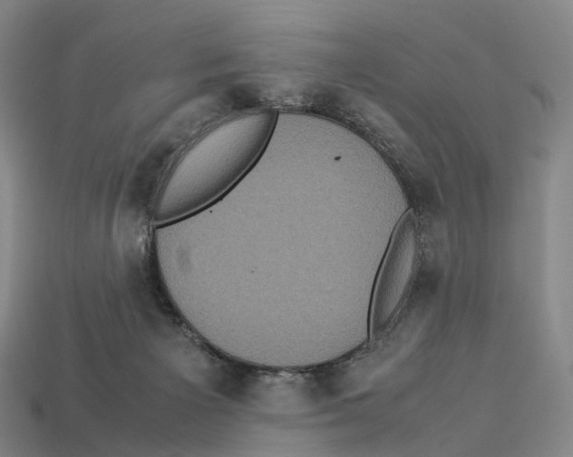 X0000113110125200909251100