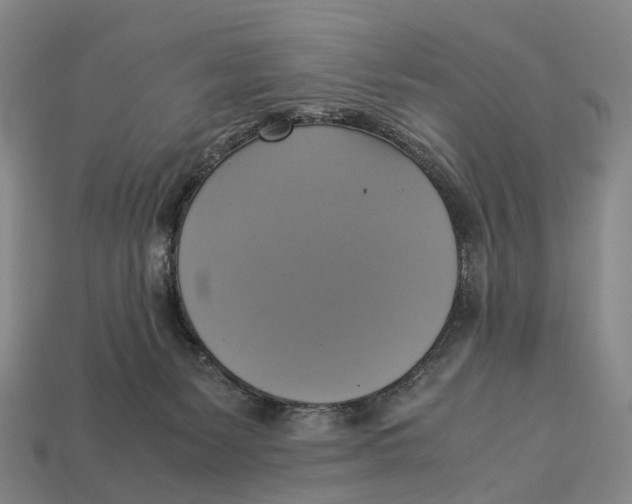 X0000113110127200909251100