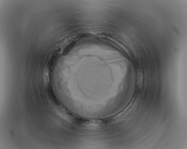 X0000113110128200909251100