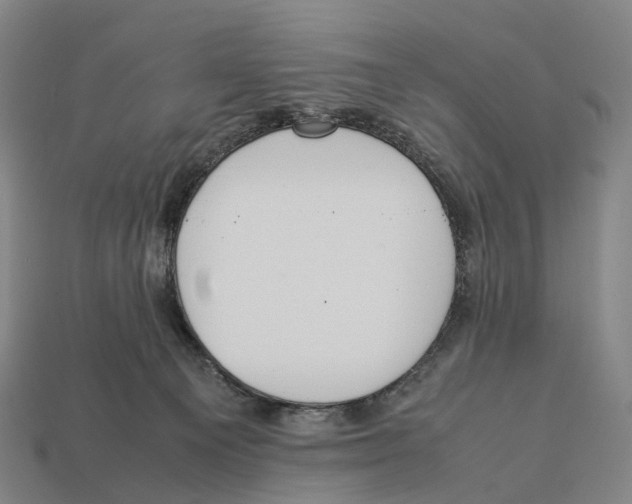 X0000113110129200909251100