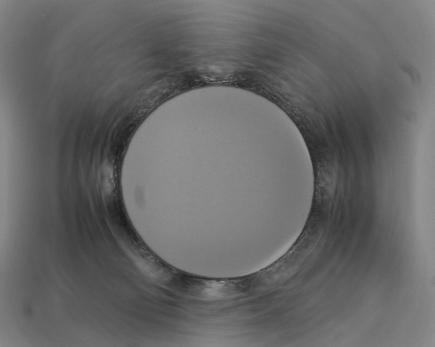 X0000113110130200909251100