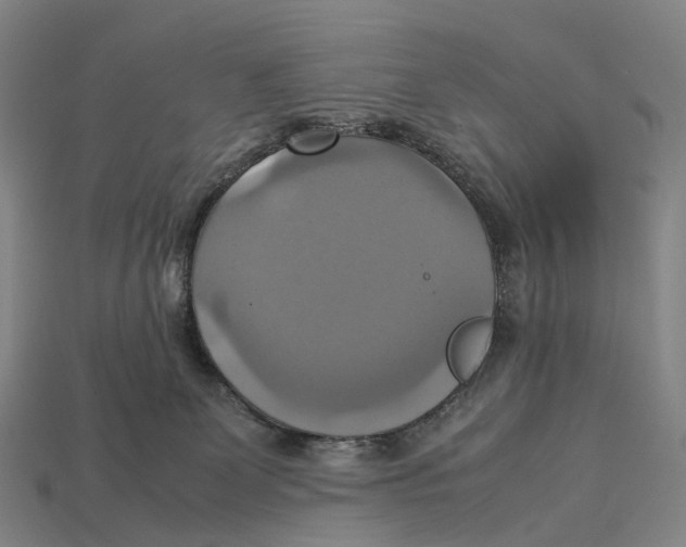 X0000113110131200909251100