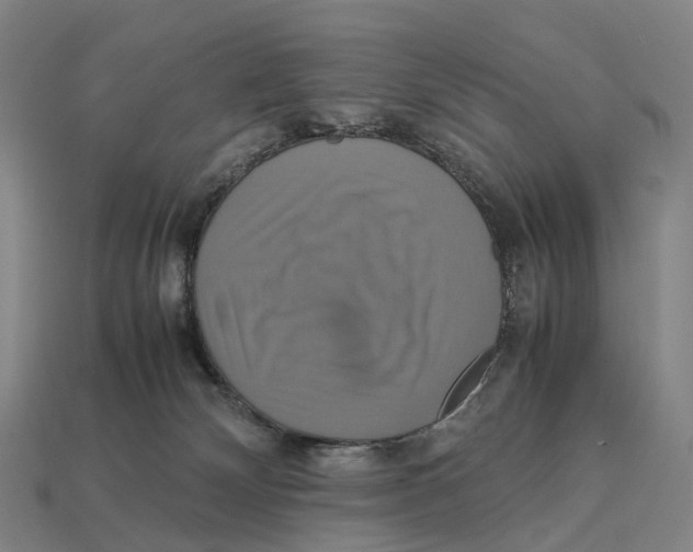 X0000113110132200909251100