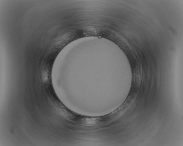X0000113110134200909251100