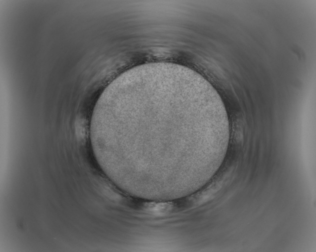 X0000113110135200909251100