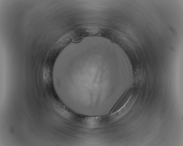 X0000113110136200909251100