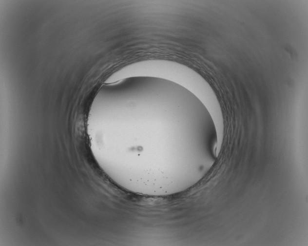 X0000113110137200909251100