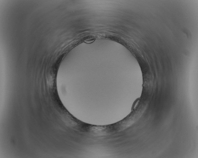 X0000113110139200909251100