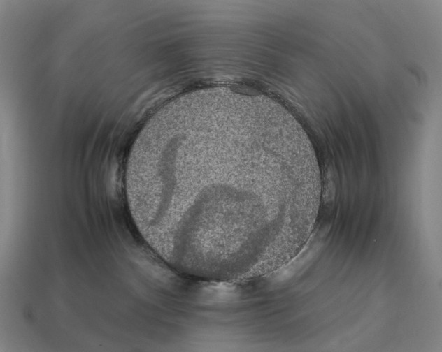 X0000113110140200909251100