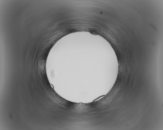 X0000113110141200909251100