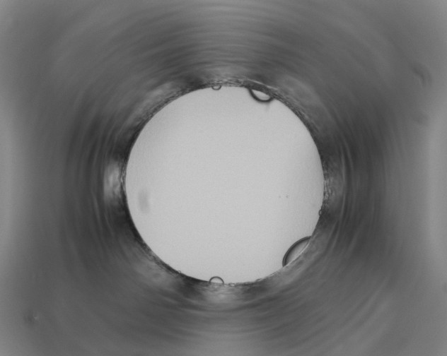 X0000113110142200909251100